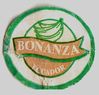 Bonanza-01.jpg