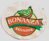 Bonanza-011.jpg