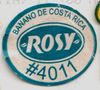 Rosy-03.jpg