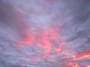 Oblaka2C_belogrivye_loshadki.jpg