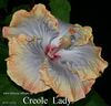 086_-_Creole_Lady.jpg