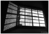 Shade_of_the_window_by_Leo_Kaz_№3155.jpg